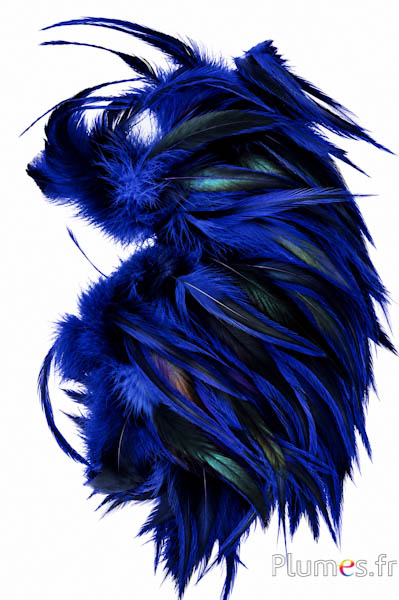 Gallo - 10-15 cm - blu notte